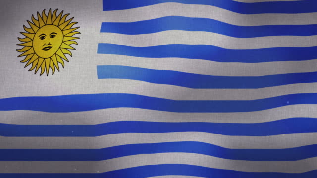 Uruguay-National-Flag-Waving