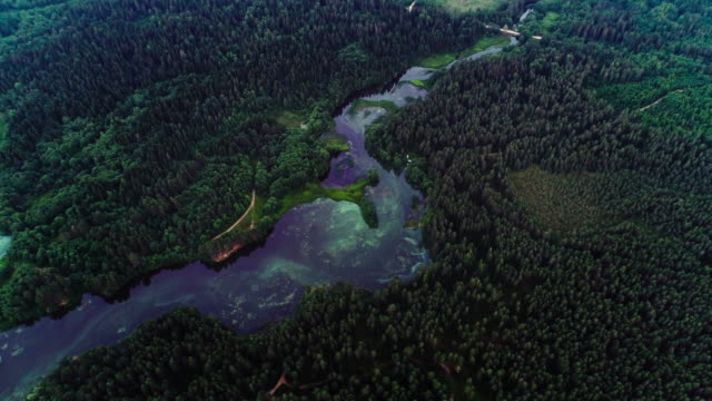 See-mit-türkisfarbenem-Wasser-und-grünen-Bäumen.-Landschaft-mit-Flüssen,-Wald,-See
