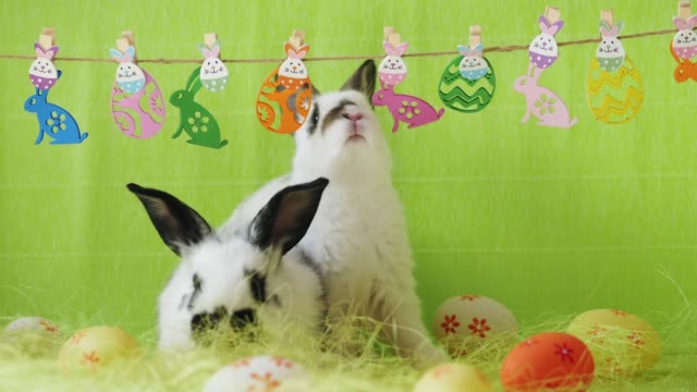 Easter-decoration-with-two-bunnies