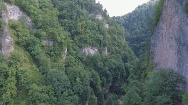 Drohnenflug-in-einer-wunderschönen-Bergschlucht-mit-Wald-bedeckt.