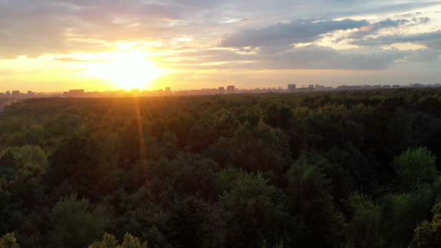 Über-die-Bäume-eines-großen-Stadtparks-zum-Sonnenuntergang-fliegen