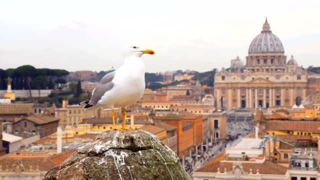 Seagull-sitting-on-a-old-pillar-against-vatican-view
