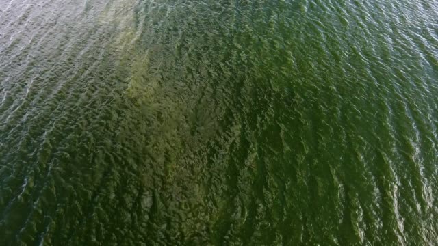 Herrliche-Vogelperspektive-auf-das-reißende-dunkelgrüne-Wasser-des-Flusses-Dnipro-an-einem-sonnigen-Tag-im-Sommer.-Sie-sehen-aus-wie-verdrehte-Schlangen.