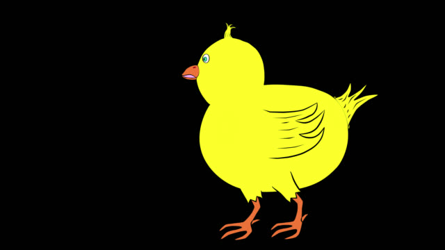 Chick-Walking-Animated-Transparent