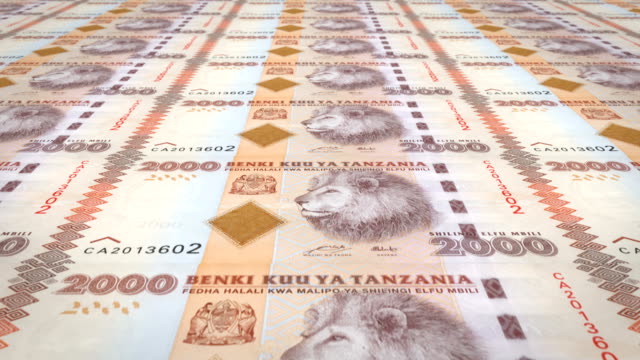 Billetes-de-2-mil-Tanzania-Chelín-de-Tanzania,-dinero-en-efectivo,-lazo