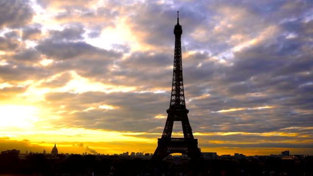 Bird-flying-and-Eiffel-Tower-with-sunset-background
