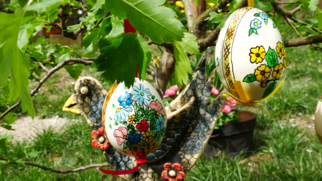 Easter-eggs-hanging-on-the-twig-in-the-garden.-Panning.
