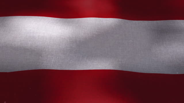 Nationalflagge-Österreich---winken