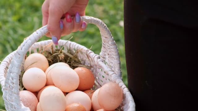 Muchos-huevos-de-pollo-están-en-la-cesta-en-las-manos-de-una-granja-de-mujeres.