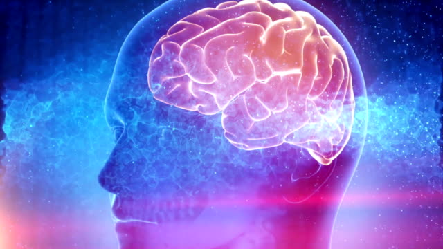 Menschliches-Gehirn-medizinischer-Cyber-Hintergrund
