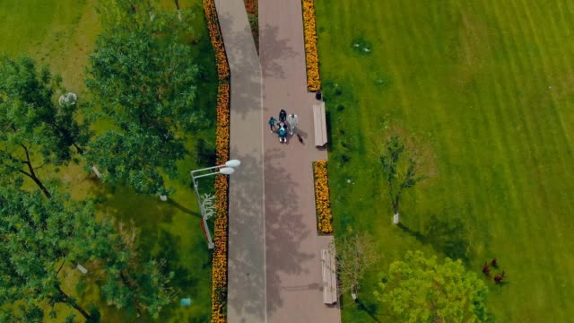 Walk-with-the-family-in-the-park,-person-in-a-wheelchair.-Aerial-view-video-from-copter.-Top-view.