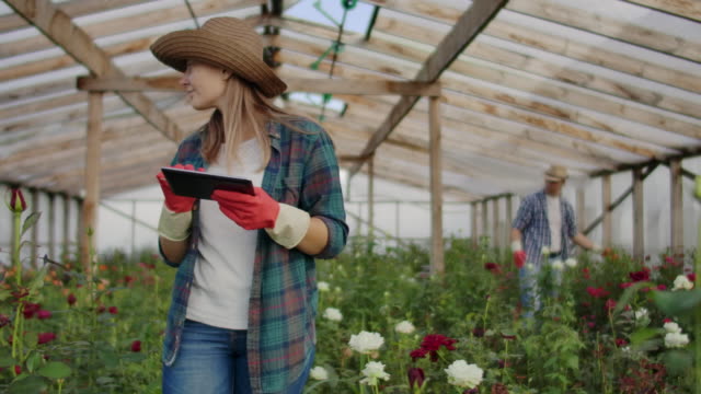 Teamarbeit-von-Kollegen-moderne-Rosenbauern-gehen-durch-das-Gewächshaus-mit-einer-Plantage-von-Blumen,-berühren-die-Knospen-und-berühren-den-Bildschirm-der-Tablette