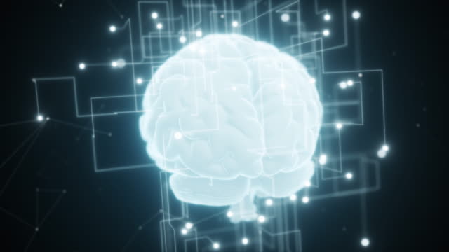 An-expanding-network-around-the-digital-brain