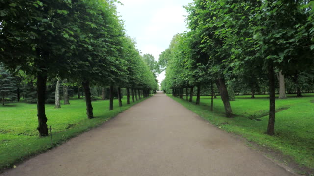 Alley-im-Park-in-Peterhof