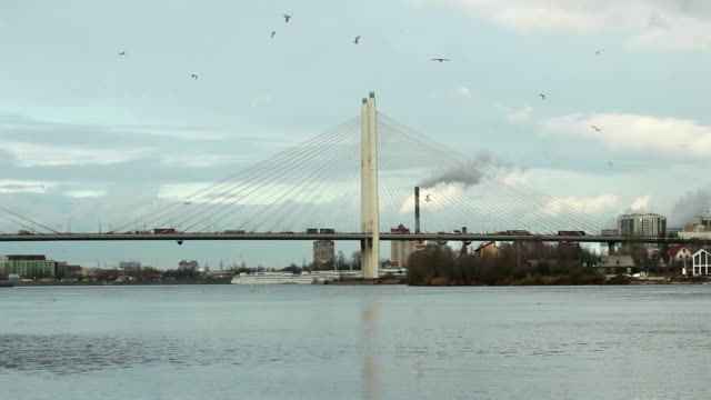 Birds-circling-in-the-sky-above-cable-stayed-bridge