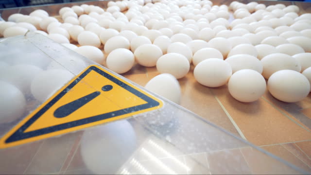 Warning,-caution-sign-at-factory.-Caution-sign-at-eggs-sorting-conveyor.