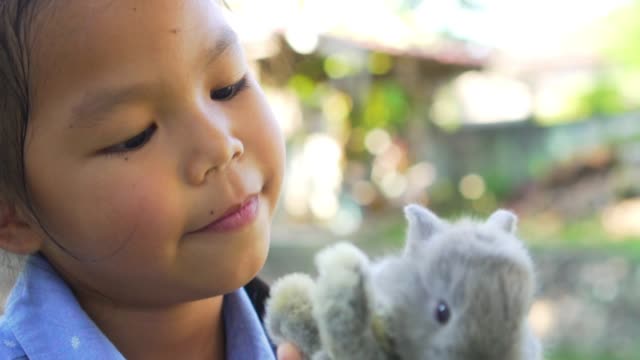 Kind-und-Tier-asiatisches-Mädchen-mit-einem-flauschigen-grauen-Kaninchen,-aufmerksam-und-vorsichtig.