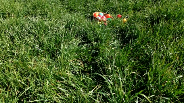 Farbige-Ostereier-in-der-frischen-Frühlingswiese,-Luftaufnahme
