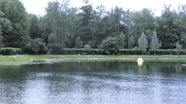 City-pond-in-the-park