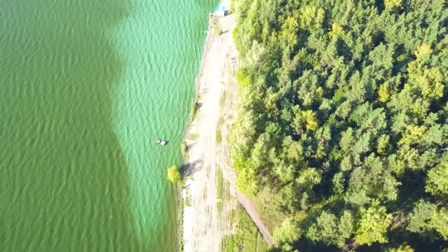Luftaufnahme-der-Nadelbaum-ausgekleidet-Wildnis-Fluss-abgelegenen-Gegend,-Nordamerika---Luftbild-von-Nadelbaum-Wildnis-Fluss-abgelegenen-Gegend,-USA