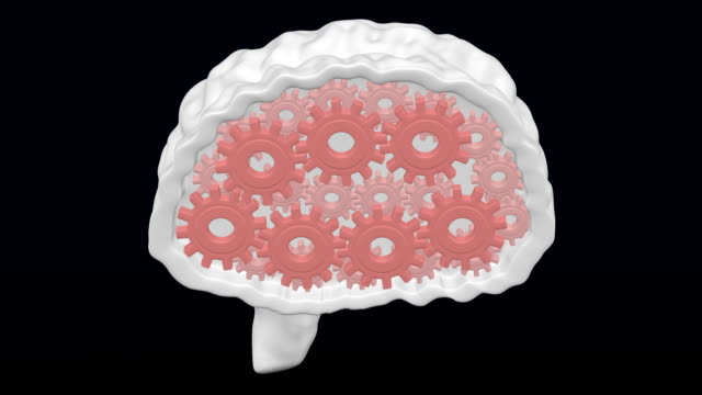 Menschliches-Gehirn-mit-rotierenden-Zahnrädern-im-Inneren.