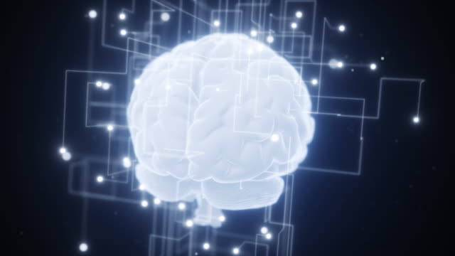Una-red-en-expansión-alrededor-del-cerebro-digital