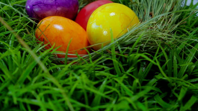 Colorful-Easter-Eggs-in-a-nest