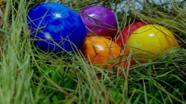 Found-in-the-grass---a-nest-with-Easter-Eggs