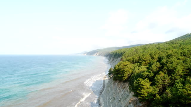 Fotografía-aérea-de-la-costa-rocosa-del-mar.-Bosque-verde-en-la-montaña.