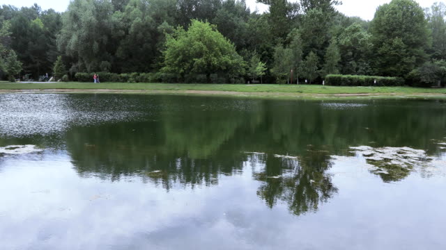 City-pond-in-the-park