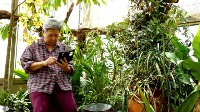 asian-elder-woman-holding-mobile-phone-in-garden.-elderly-female-texting-message,-using-app-with-smartphone-in-park.-senior-use-cellphone-to-connect-with-social-network