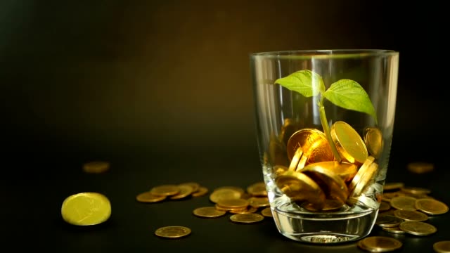 Golden-coins-in-glass-jar-and-green-leaf-of-sprout-on-black-background.-Rotating,-twisting,-swirling,-spinning-penny.