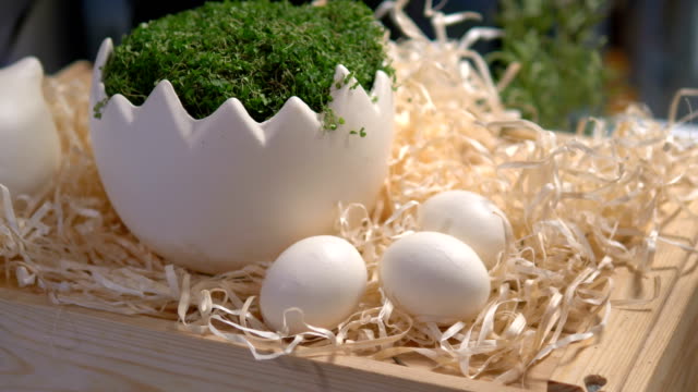 Composición-de-Pascua-de-huevos-en-caja-de-madera-en-4k-cámara-lenta-60fps