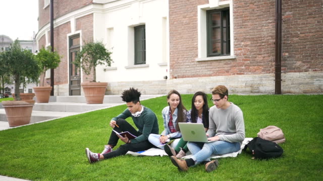 Mixed-race-students-siting-on-the-pleasant-grass-behind-campus