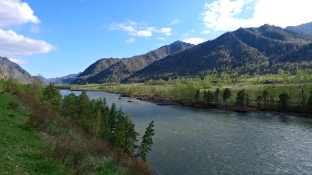 Altai-river-Katun-near-mountain-village-Chemal,-Russia
