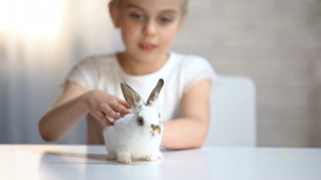 Adorable-girl-tenderly-stroking-little-fluffy-bunny-and-smiling,-child-happiness