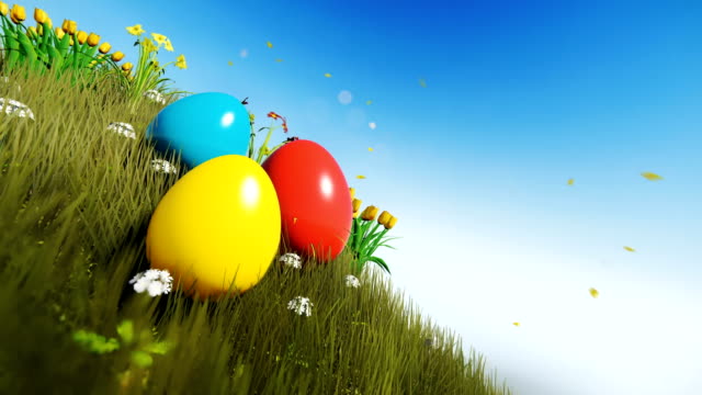 Huevos-de-Pascua-en-prado-verde-con-hermosas-flores,-panorámica
