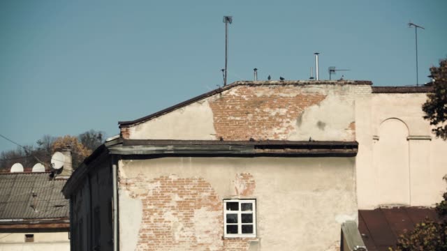 Old-European-brick-house-pigeons-on-roof-window-opened