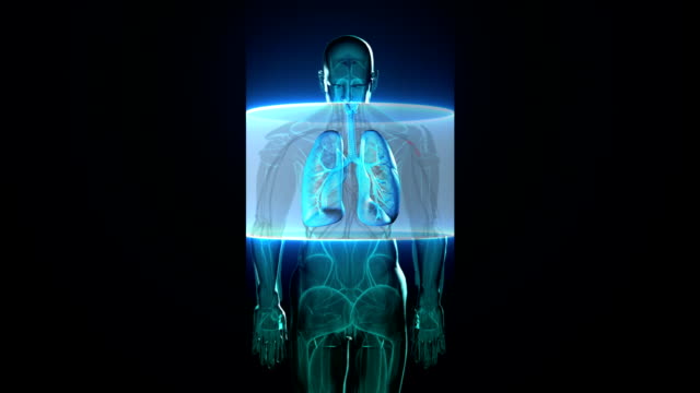 Scanning-Körper.-Rotierende-menschliche-Lunge,-Lungendiagnostik,-Blaues-Röntgenlicht.