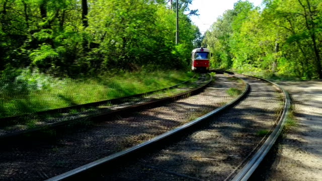 Die-Straßenbahn-fährt-auf-Schienen-mitten-im-Wald