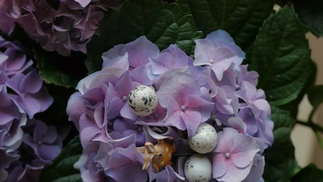 Ostereier-versteckt-unter-den-Blumen.