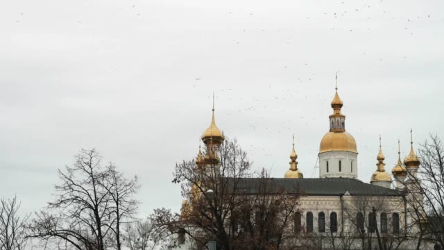 Birds-flying-over-Intercession-Monastery,-Kharkiv