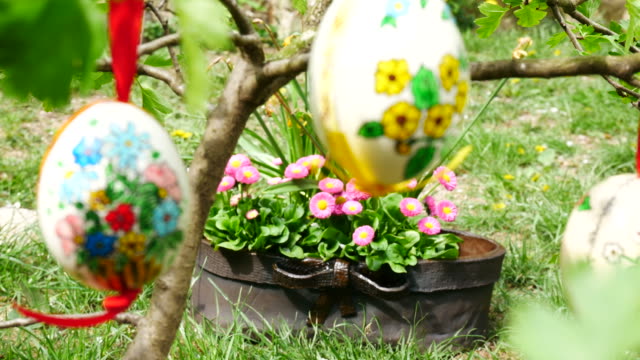 Easter-eggs-hanging-on-the-twig-in-the-garden.-Panning.-Rack-focus.