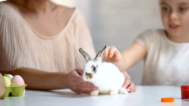 Niedlichen-Mädchen-genießen-ihre-kleinen-süßen-Kaninchen-streicheln-und-Haustier