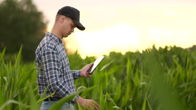 Farmer-agronomist-with-tablet-computer-in-bare-empty-field-in-sunset,-serious-confident-man-using-modern-technology-in-agricultural-production-planning-and-preparation.