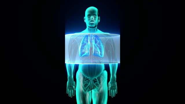 Scan-Körper.-Rotierende-menschliche-Lunge,-Lungendiagnostik,-Blaues-Röntgenlicht.
