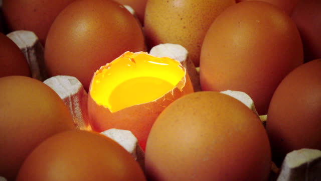 Eier-liegen-in-der-Papphalterung,-ein-Ei-gebrochen