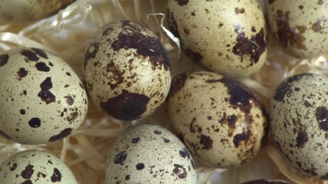 Uncooked-quail-eggs-in-pack.-Rotating-and-closeup.-Nobody