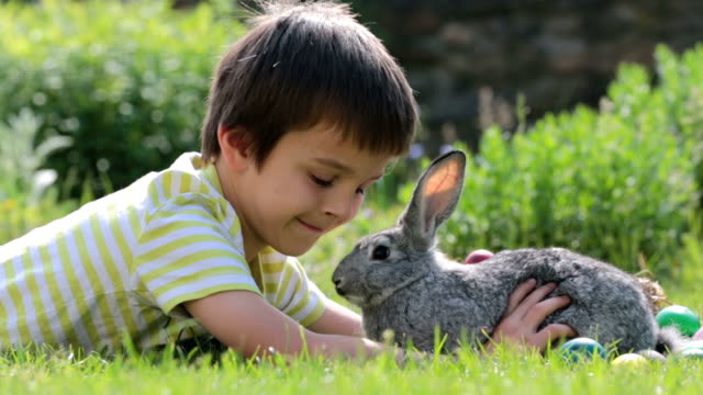 Cute-child,-playing-with-little-bunny-and-easter-eggs-in-a-blooming-garden,-springtime.-Boy-play-with-rabbit,-egg-hunting-for-holiday