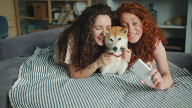 Joyful-sisters-taking-selfie-with-adorable-doggy-using-smartphone-at-home
